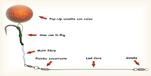 montatura carpfishing