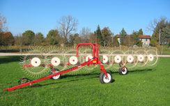 Rake caddy