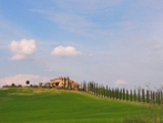 Colline senesi